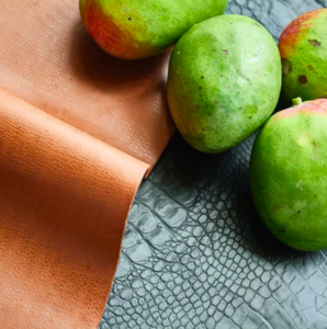 Read more about the article Vegan Leather – Moving Towards a Sustainable Future in Fashion